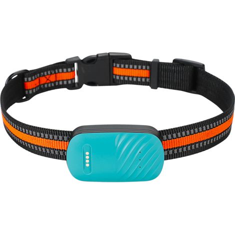 Collar de seguimiento GPS impermeable para perros y gatos con geolocalización e historial de 90 días (P67) (1/5)