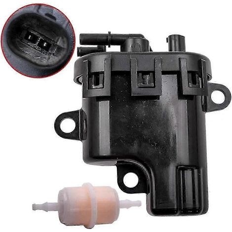 Kit pompe à carburant et filtre pour tondeuse à gazon 2539309S compatible avec ECH ECV 2539316-S 2539316S 2539311 2539314 (1/5)