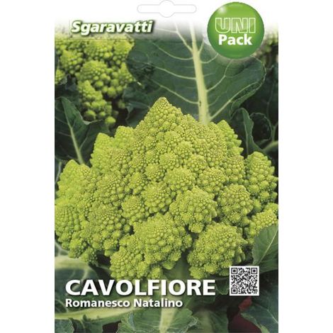 Semi per Ortaggi e Vegetali Cavolfiore Romanesco Natalino 20 Pezzi