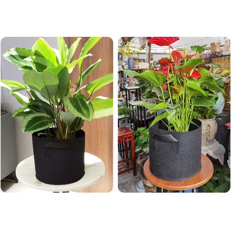 Sac de plantation en tissu non tissé résistant 65 gallons (246 litres) avec poignées - Gris - 80 x 50 cm (1/5)