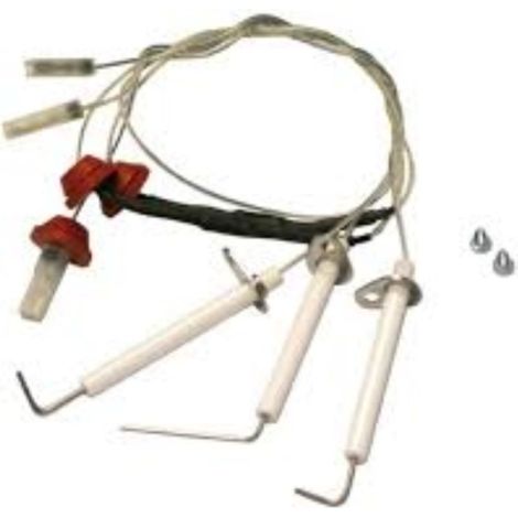 Conjunto electrodos Roca Laura f