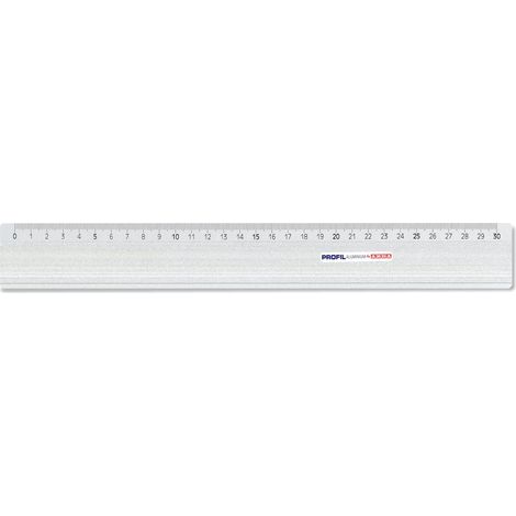 Arda Riga Profilo in Alluminio Anodizzato 30 cm Antisdrucciolo per Edilizia (1/2)