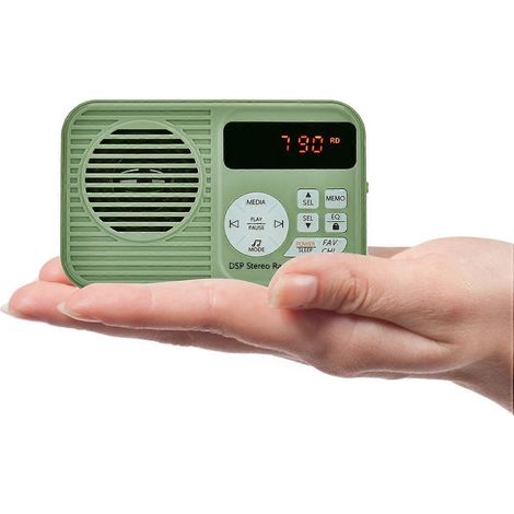 HanRongDa HRD-231 Tragbares FM-Radio mit kabellosem Bluetooth-Lautsprecher, TF-Kartenleser und Multifunktionsradio