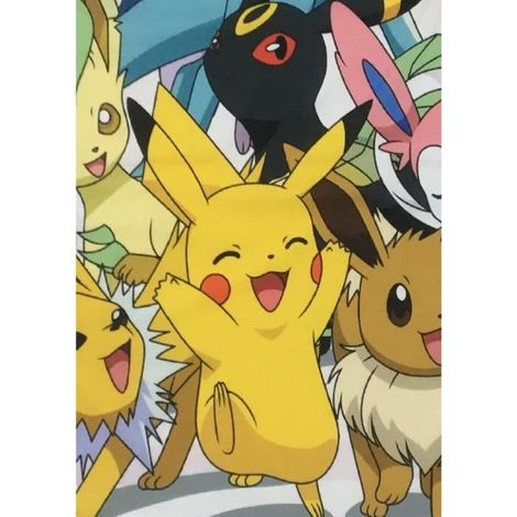Copertura Sherpa - POKEMON - Evoluzioni - 100 x 150 cm (1/4)