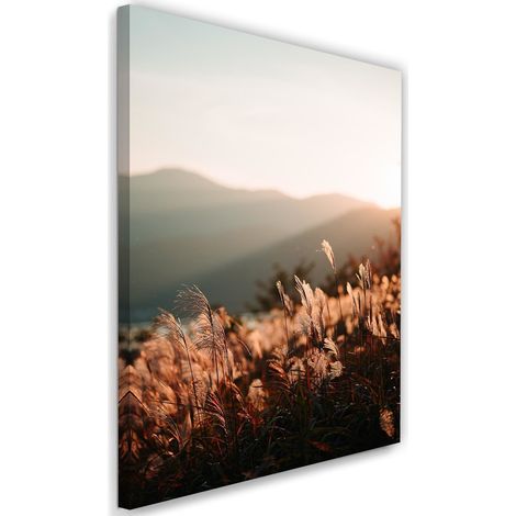 Tableau sur toile Prairie Montagne Nature 40x60 (1/5)