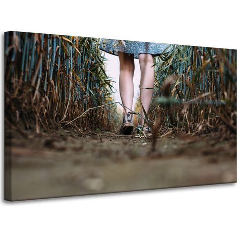 Leinwanddruck Natur Ein Spaziergang im Feld 100x60 cm