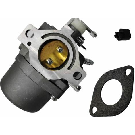 Remplacement du carburateur Carburateur de tondeuse à gazon, pour moteurs Briggs Stratton 285707 289707 28B705 28M707, remplace 494392 494502 495706 799728 Carburateur de tondeuse à gazon (1/5)