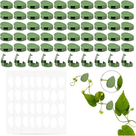60 Pièces Clips Auto-Adhésifs pour Plantes Grimpantes – Support Invisible pour Feuilles et Tiges, Fixation Murale de Jardin (1/5)