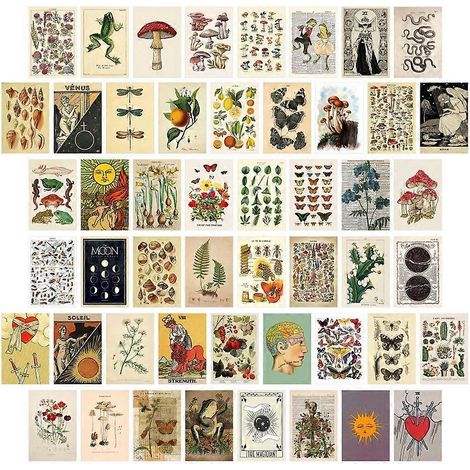 50-teiliges Vintage-Tarot-Wandcollage-Set mit botanischen Motiven