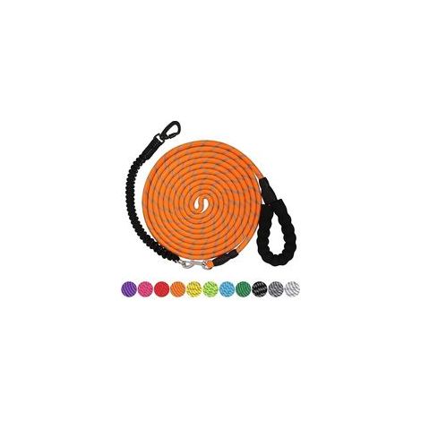 Laisse pour chien 10 m Corde nylon ultra-durable Poignée rembourrée ergonomique Fermoir pivotant pour contrôle optimal (1/5)