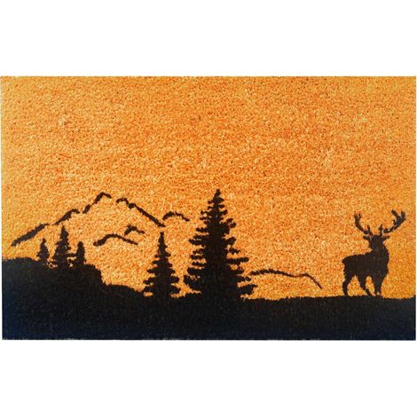 Coir Doormat, 60x40 cm, Decorative Design (1/5)