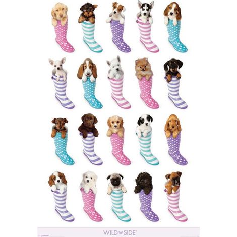 Poster chiots et bottes de pluie 91.5 cm