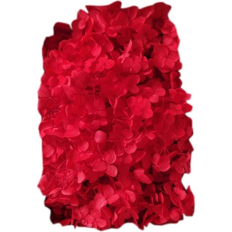 Farfi 20g/Box Trockenblumen, keine Bewässerung nötig, dekorative, frisch haltende künstliche Hortensienblüten, Geschenkbox-Set, Heimdekoration für das Wohnzimmer-Red