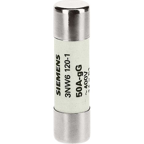 Siemens 3NW61101 Zylindersicherungseinsatz        10 St.