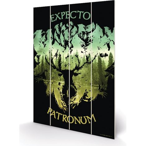 HARRY POTTER - EXPECTO PATRONUM - IMPRESSION SUR BOIS 20X29.5 PYRAMID MW11967P