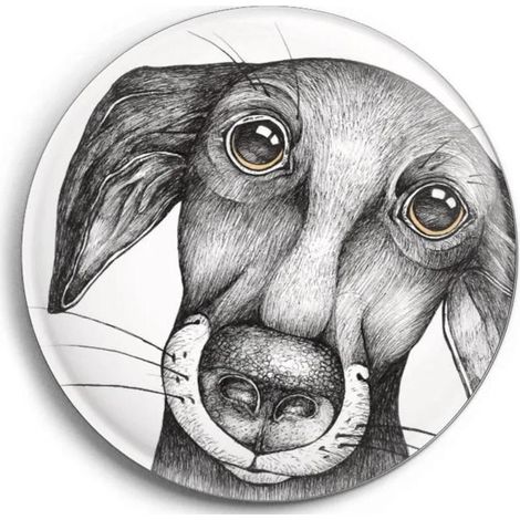 Jürgen der Hundemagnet