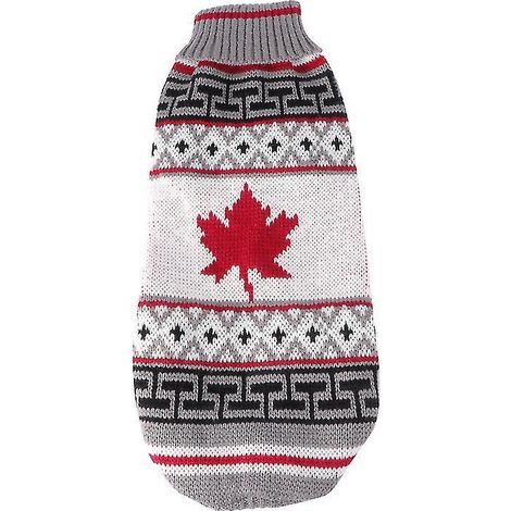 1 costume d'hiver chaud pour chien