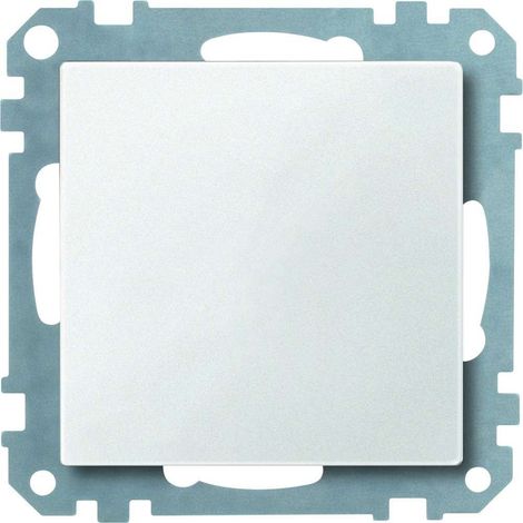 Placa de acabado Merten 391819 termoplástico oculto universal