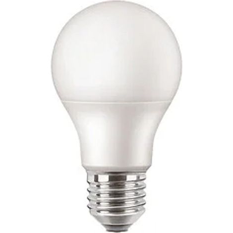 Ampoule E27 Standard - Dépolie - Blanc froid -  2700K - Lot de 2 - 75W