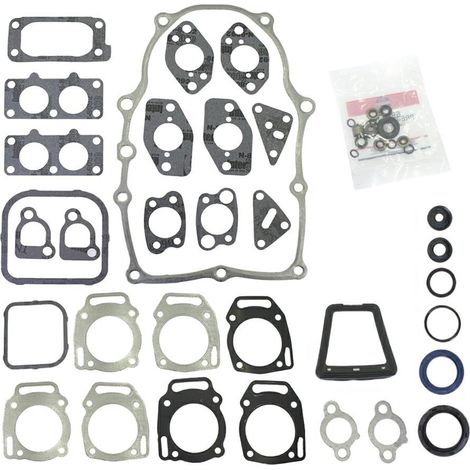 Serie guarnizioni Vanguard bicilindrici da 14 a 16 HP orizzontali e verticali 290400-320031