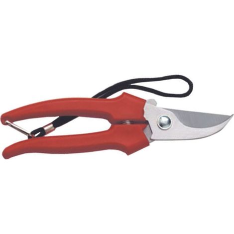 FORBICE RACCOLTA A MEZZALUNA- - cm.19 - 35031 - 12 blister AUSONIA