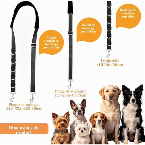 Bande De Sangle Ventrale De Toilettage Chien Boucle De Retenue De Bain RéGlable Nylon Bain De Plomb Chat Chiot Chaton Petits Chats Moyens Chiens Coupe De Cheveux Lavage (1/2)