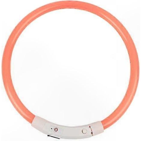 Collier pour chien avec LED clignotante rechargeable USB et lumière de sécurité nocturne (1/5)