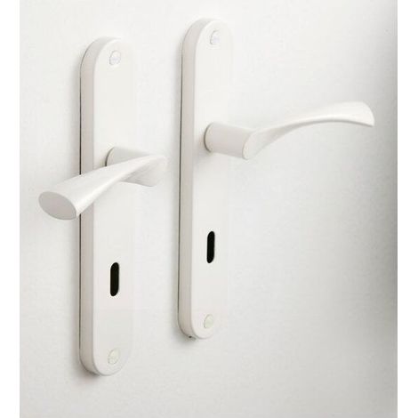 2 poignées de porte Anais entrée de clé CHAINEY, acier entraxe 195 mm Voir les détails du produit (1/2)