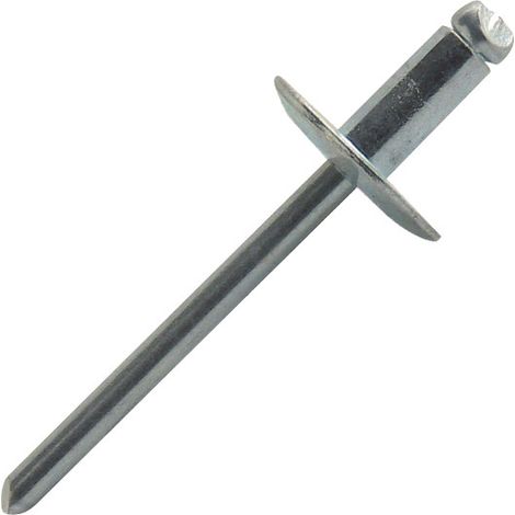 500 rivets aveugles acier TEL, D. 4.8 x 10 mm - SX4810-BC - Scell-it (1/4)