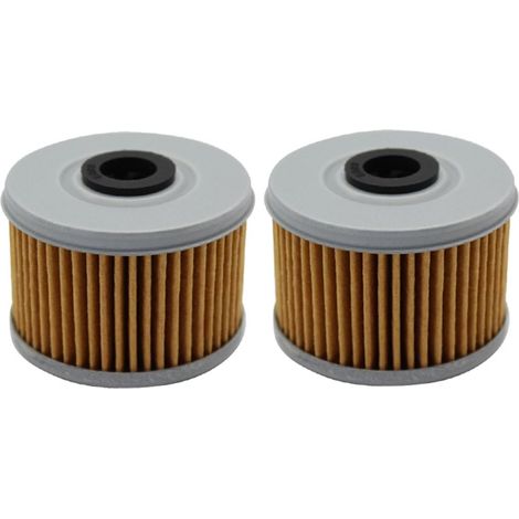 Filtre à huile pour XL125V XL125 V VARADERO 125 2001 2002 2003 2004 2005 2006 2007 2008 2009 2010/XL125V VARADERO DE LUXE 2011 (Lot de 2) (1/4)
