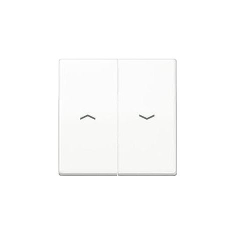 Jung Wippe Symbole aws für Taster AS 591-5 P WW (1/5)