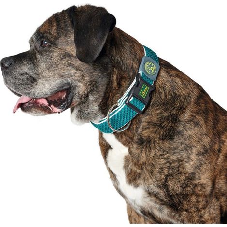 Collier pour Chien Hunter Plus Fil turquoise Turquoise Taille XL (45-70 cm) (1/2)