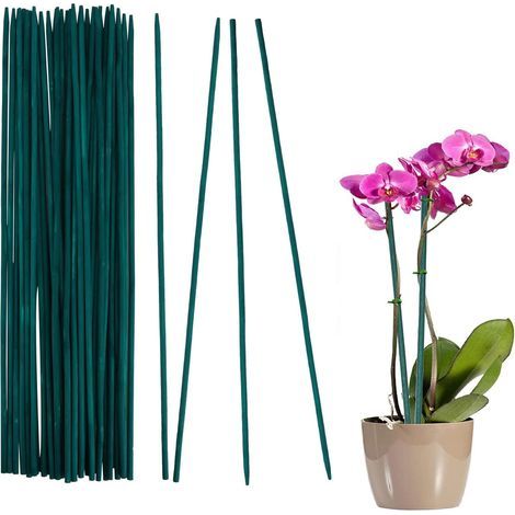Lot de 30 - Tuteur Plante - Piquet Bois - Support Résistant Intempéries Pour Pois Et Légumes Jardin Extérieur Vert 30x1,5cm (1/5)