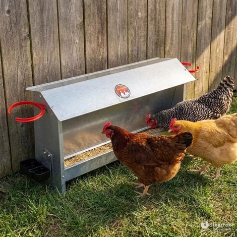 Mangeoire-abreuvoir NOVITAL 10 kg galvanisée avec 2 porte-bouteilles (1/5)
