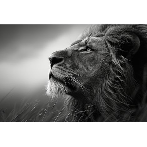 Tableau sur toile lion songeur 45x65 cm - Impression sur Toile Murale Décorative - Image imprimée en HD sur Toile - Toile sur Châssis en Bois FSC - Fabriqué en France (1/5)
