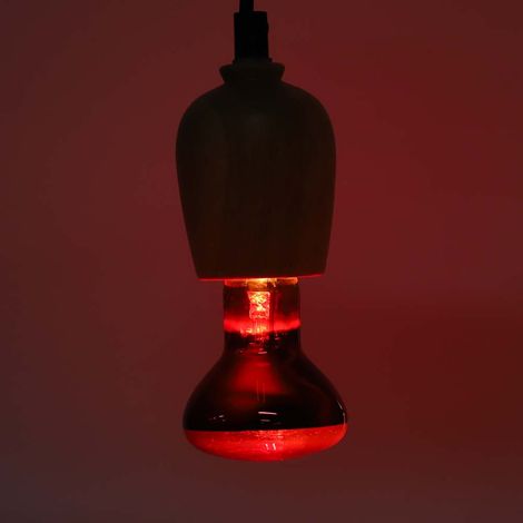 Ampoule infrarouge E27 R63 pour reptiles, tortues et serpents, 60 W (1/5)