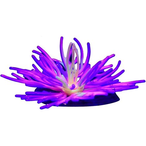 Décorations coralliennes pour aquarium ventouses en forme de corail lumineux plantes artificielles pour aquarium (1/5)
