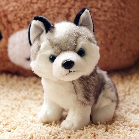 18cm peluche Husky chien réaliste simulation, jouet en peluche doux pour chiot adorable, cadeau multifonctionnel pour anniversaire Noël Nouvel An (1/5)