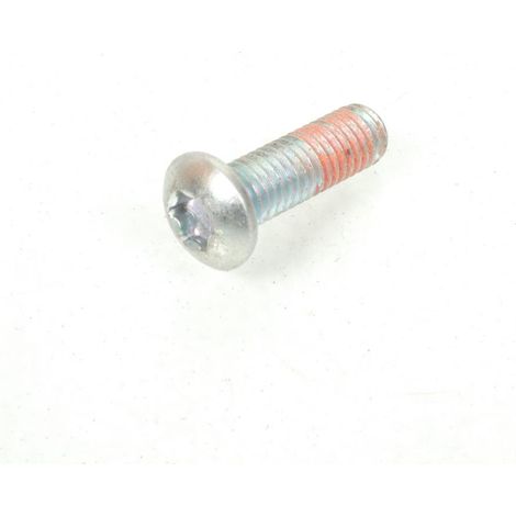 torx schraube t40 m8 1.25 25mm 783954 für roller peugeot 50