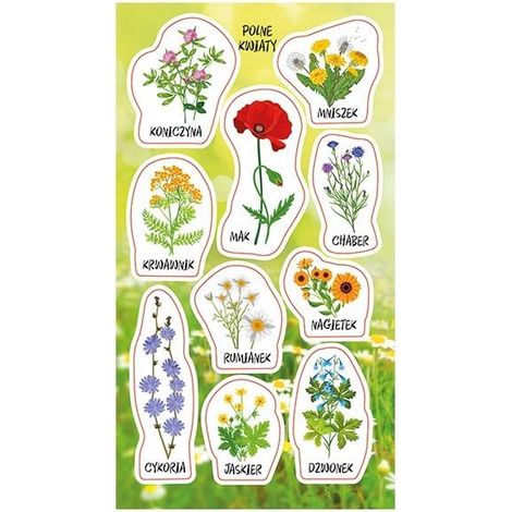 Adesivi di fiori selvatici