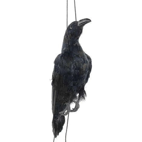 Corbeau mort suspendu réaliste, taille réelle, extra noir (1/5)
