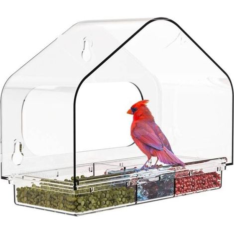 Mangeoire en acrylique transparent avec quatre ventouses ultra-résistantes, adaptée aux balcons et autres emplacements. (1/2)