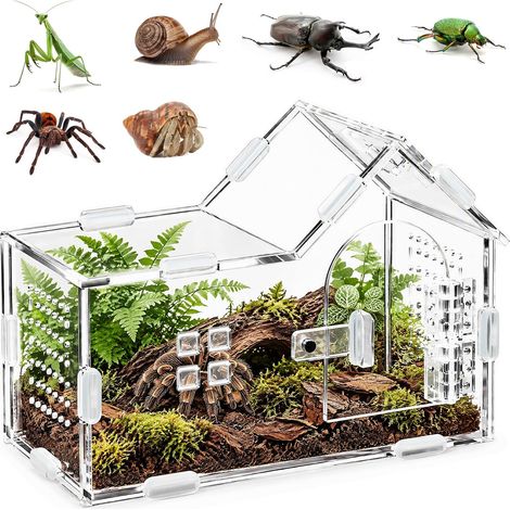 360° Terrarium Escargot Terrarium Phasme en Acrylique, 20x10x15 cm (1/5)