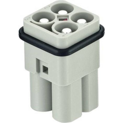 Insert mâle HARTING 09120043051 1 pc(s) R601221 (1/3)
