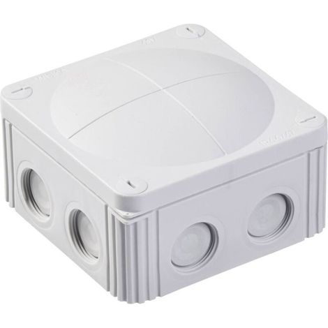 10060532 Boîte de dérivation (L x l x H) 110 x 110 x 66 mm gris clair IP66/IP67 1 pc(s) (1/2)