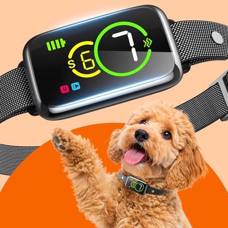 Collier anti-aboiement rechargeable – IP67 – Petits et grands chiens – Dispositif électronique (1/4)