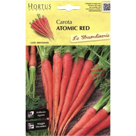 Carota Atomic Red - rote, süße und nahrhafte Karotte