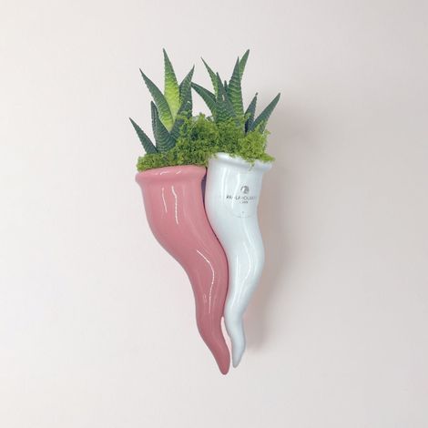 Succulente artisanale en céramique Made in Italy Bacio Fortunato - Rose (1/2)