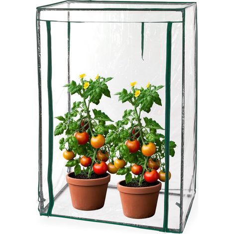 Tomaten Gewächshaus 100x50x150cm Tomatenhaus Treibhaus Foliengewächshaus (1/5)