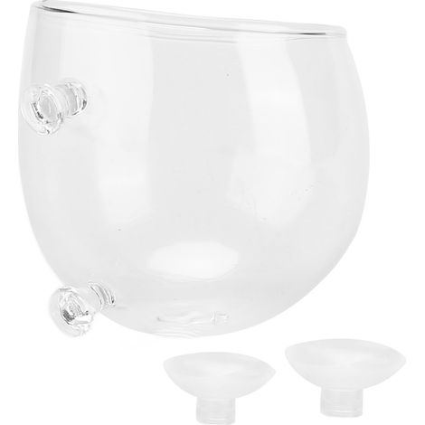 Mini pot de fleurs en verre pour plantes d'aquarium, culture de plantes, aménagement paysager, avec 2 ventouses pour plantes d'aquarium (1/5)